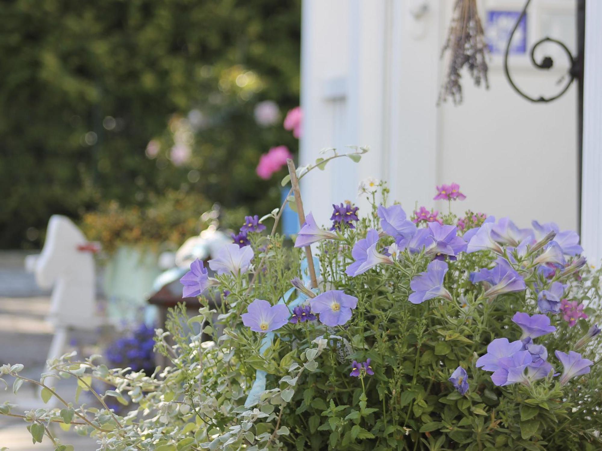 Haus Midsommer تيميندورفير ستراند المظهر الخارجي الصورة